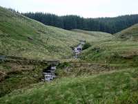 River Doethie and forest above Ty'n-y-cornel