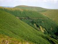 Maesglase from Waun-oer