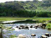 Harrop Tarn to west of Thirlmere