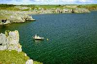 from Stackpole Head