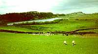 Peel Crags and Crag Lough from Hotbank