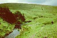 Uswayford Farm (in the trees)