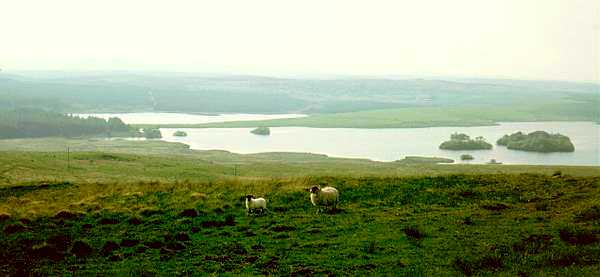 Loch of Fyntalloch and Loch Ochiltree from Hill of Ochiltree