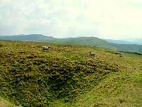Looking south from descent of Nine Standards Rigg towards Wild Boar Fell and the Howgill Fells