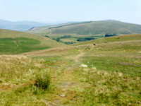 Blakeley Raise from Dent Hill
