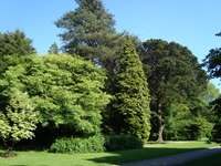 Broad Drive, Westonbirt Arboretum